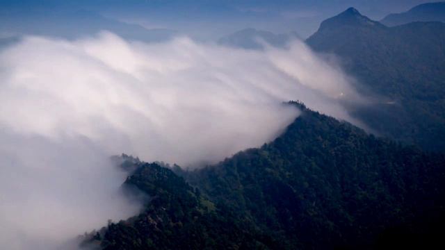 Shane Collins - A Progressive Journey #24 ★Videomix★ | Progressive Trance