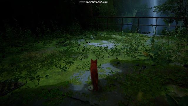 Stray, Мяу? Мяу мяу мяяяяу (часть первая, внутри стен. кошачий) смотреть онлайн