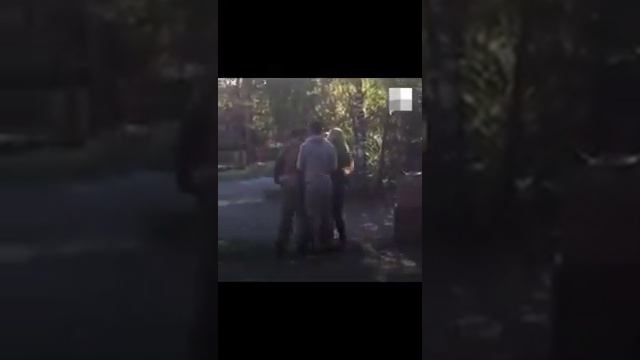 В Челябинске в парке подрались зоозащитники и хозяин волка смотреть онлайн