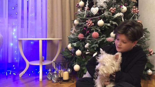 Сергей Есенин — Собаке Качалова (Дай, Джим, на счастье лапу мне): Донской Алекс смотреть онлайн