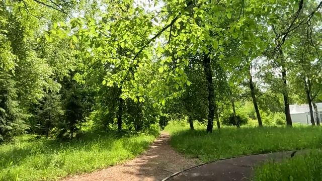 Многодетная мать пела под фанеру в ресторане за объедки, а едва исчез микрофон и гости узнали голос смотреть онлайн