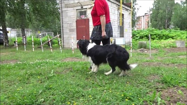 Марти тренировка смотреть онлайн