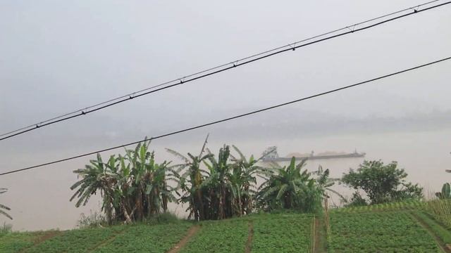 Walking around near West Pearl River on China BR Day 3 смотреть онлайн