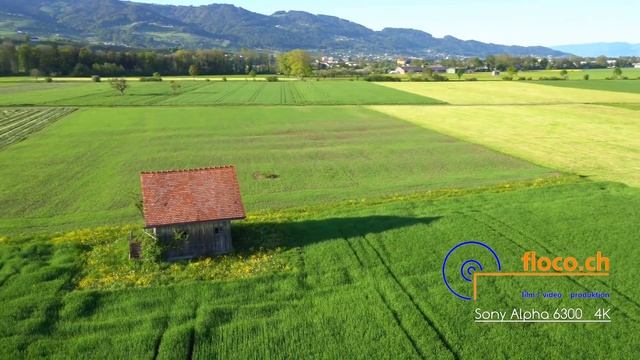 Test 4k Sony A 6300 смотреть онлайн