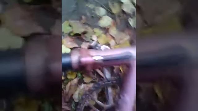 Велики крутые! смотреть онлайн