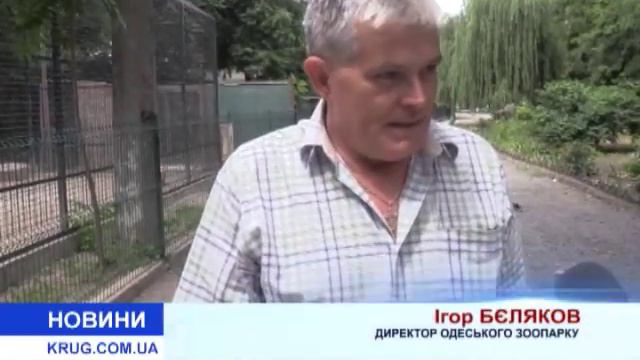 В Одесском зоопарке пополнение смотреть онлайн