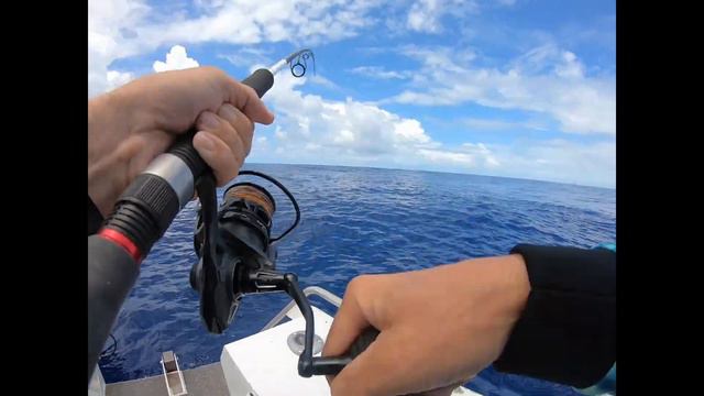 Offshore Fishing the GOLD COAST - Trolling for Spanish Macs and fishing the Fads for Dollies смотреть онлайн