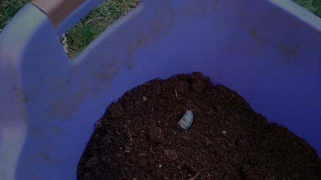 КОРМ ДЛЯ дождевого ЧЕРВЯ смотреть онлайн