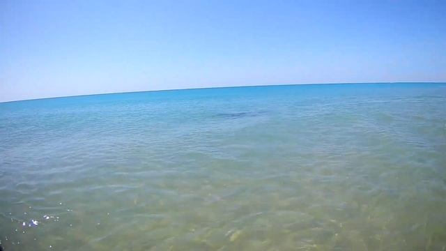 #Витязево,#Анапа Море Шок!! Дельфины на Пляже утром на благовещенской косе смотреть онлайн