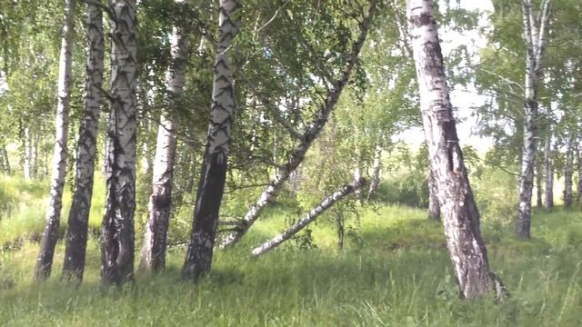 реальные квадроциклисты!!!