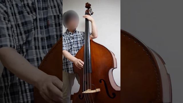 Every Breath You Take (Wood bass cover) смотреть онлайн