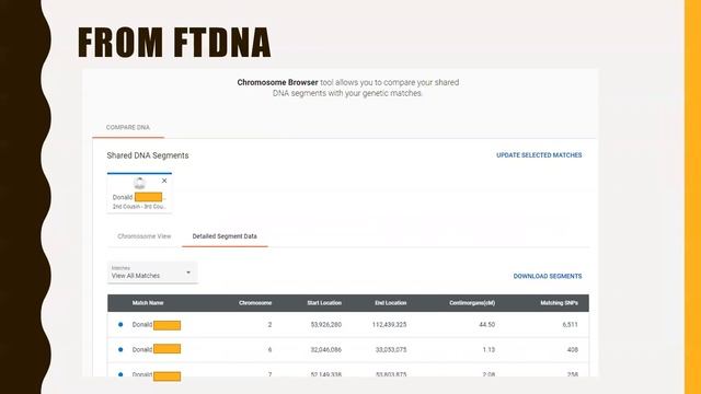 DNA Painter: A Chromosome Browser and More смотреть онлайн
