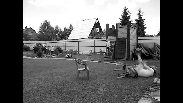 НЕМОЕ КИНО "Смешные моменты" (Funny moments) смотреть онлайн