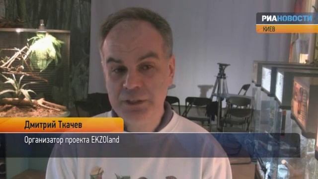 ПРОТОТИП ТАМАТОА МОАНА 2016 КОКОСОВЫЙ КРАБ TAMATOA REAL FROM MOANA 2016 смотреть онлайн