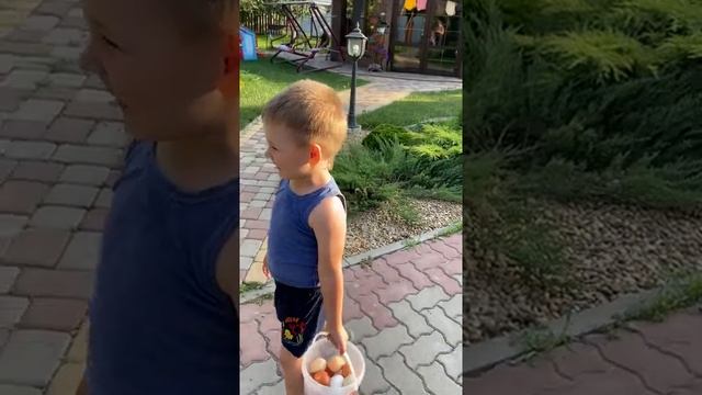 КУРОЧКИ НЕСУТ ЯЙЦА КАЖДЫЙ ДЕНЬ смотреть онлайн