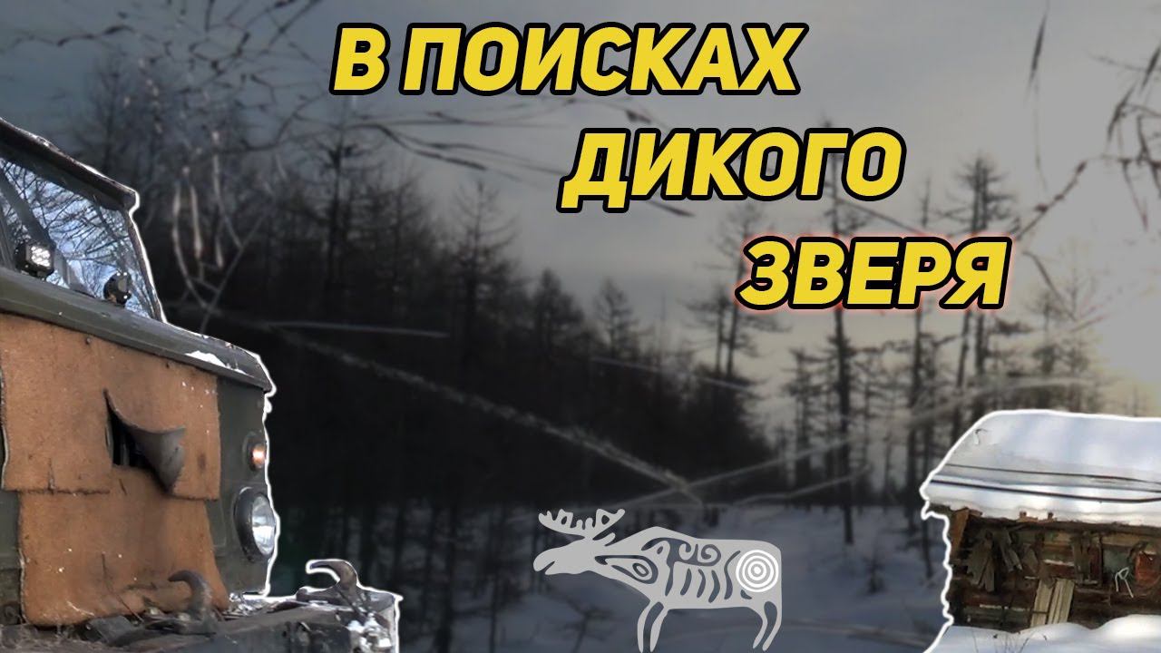 ПО СНЕГУ НА ДАЛЬНИЙ КОРДОН, В ПОИСКАХ ДИКОГО ЗВЕРЯ. ОБЖИВАЮСЬ КОМФОРТНО В ТАЕЖНОЙ ИЗБЕ смотреть онлайн