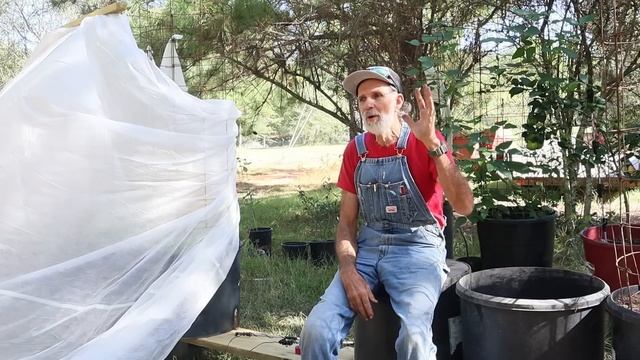 When Society Fails - Porch Time 2023 смотреть онлайн