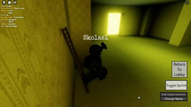 Roblox The Backrooms Roleplay How to get Party Time badge смотреть онлайн