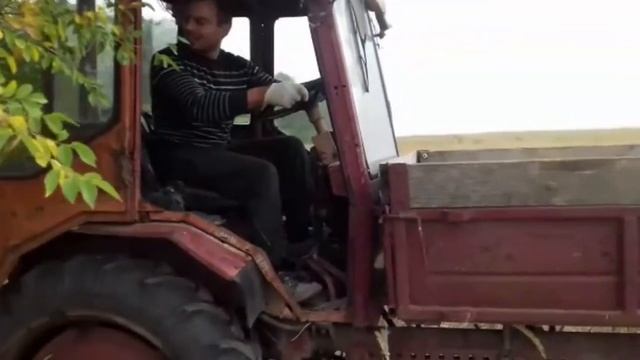 Как быстро удалить дерево очистить участок / поле / трактор попрошайка / село смотреть онлайн