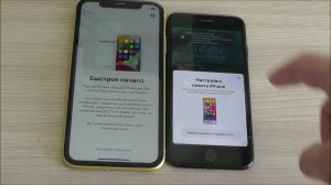 Как автоматически перенести все данные со старого iPhone 7 на новый iPhone 11 ? Клонирование iPhone