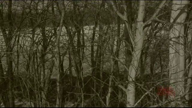 The Headless Horseman of Henry County смотреть онлайн