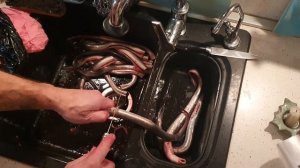 Чистим рыбу Минога