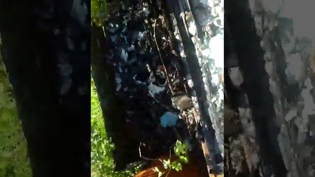 Сгоревший дом смотреть онлайн