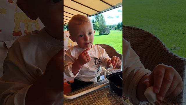 2024 08 12 2 Maximus и сахар 4К