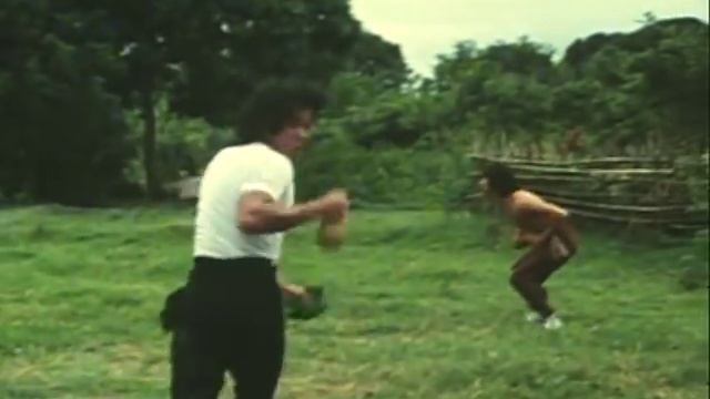 Wu Tang Collection - Snake In The Monkey Shadow смотреть онлайн