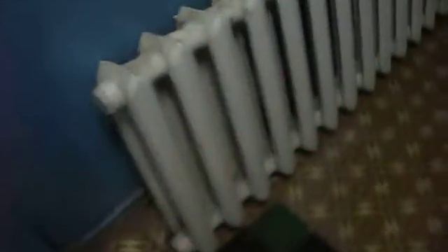 Кот Мася....не боится, что придавит батареей))))))))) смотреть онлайн