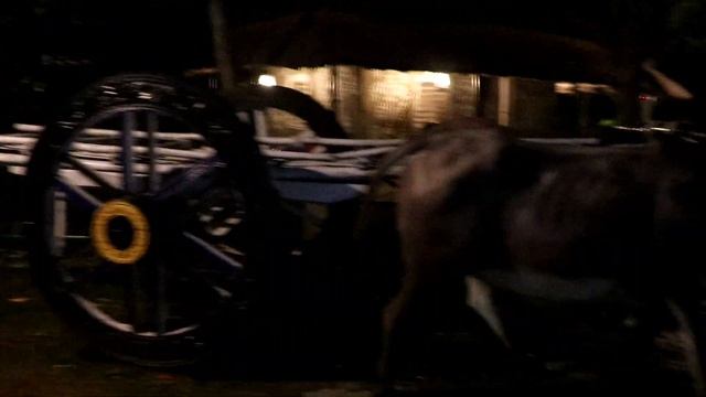 Banglar Gram Eco Park/Bengali Village Lifestyle/Newtown Eco Park/Ecopark Resort/Kolkata Eco Park We смотреть онлайн