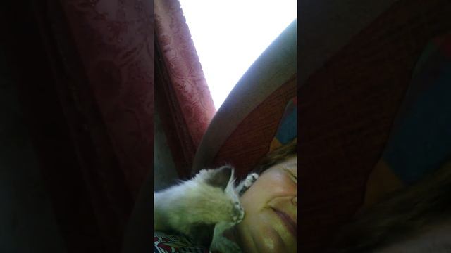 Сима соскучилась!!! смотреть онлайн