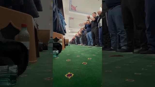 • Дуа Кунут 🗣️Саид Абу Марьям смотреть онлайн