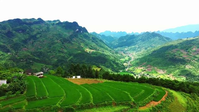 Отдохни! смотреть онлайн