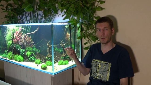 Покупка первого аквариума. Основные нюансы смотреть онлайн