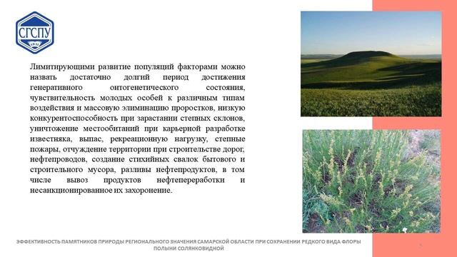 Эффективность памятников природы регионального значения Самарской области при сохранении редкого... смотреть онлайн