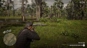 Red dead redemption 2 охота на аллигаторов и на яйца аллигаторов близ Сен Дени