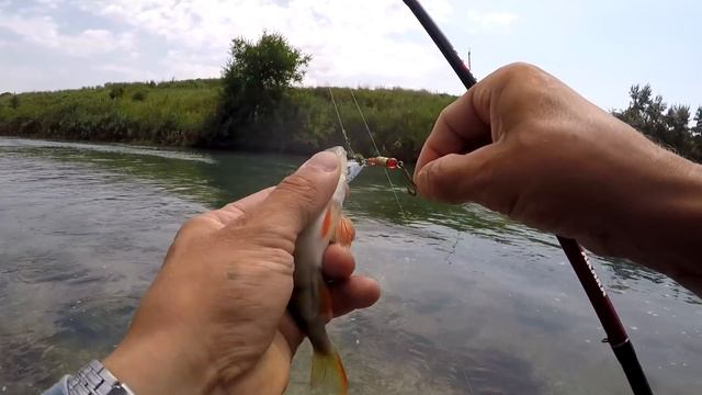 Вот это рыбалка?Ловля голавля на спиннинг в реке Егорлык. Таких я ещё не ловил. Рыбалка в кайф!!!!