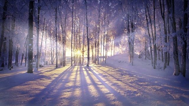 Медитация в Зимнем Лесу / Музыка для Сна и Медитации / Relax Music & Gray #76 смотреть онлайн