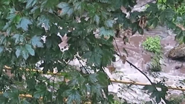 Польша, Карпач, горная река смотреть онлайн