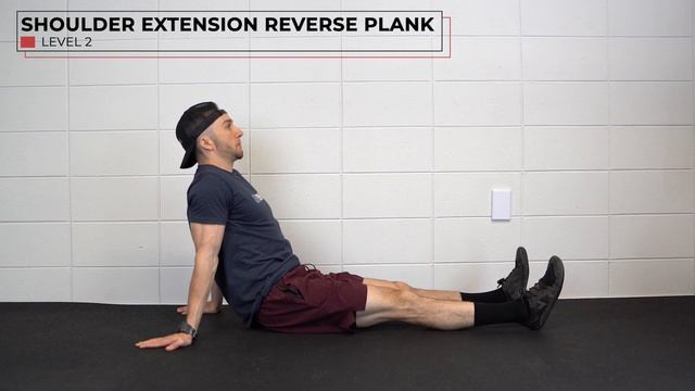 Upper Body Dynamic Stretching | Warm-up (5-10 Minute Routine) смотреть онлайн