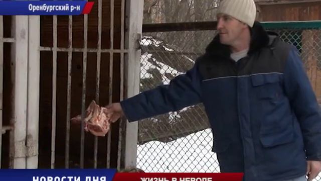 ЖИЗНЬ В НЕВОЛЕ смотреть онлайн