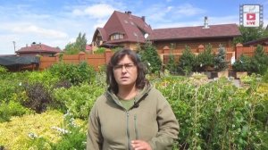 Цветущие кустарники которые не радуют.Часть 2. Дейция