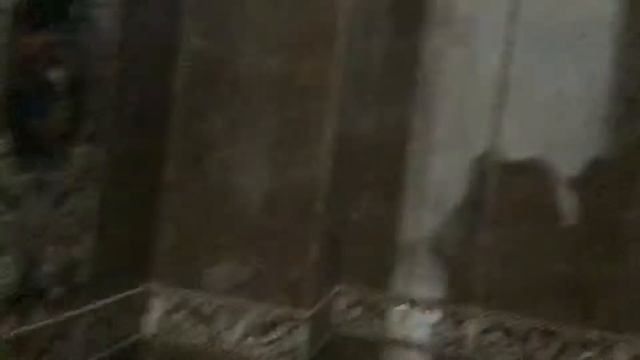ВЛОГ НОВАЯ КВАРТИРА ДИЗАЙН АРИНСКАЯ РАСА смотреть онлайн