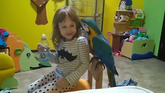 "Я иду за тобой" смотреть онлайн