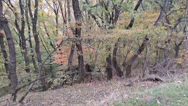 Впервые в жизни ВДАЛИ от ДОМА смотреть онлайн