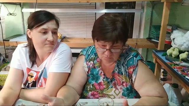 Добрый вечер, Огородники! Ответы на Ваши вопросы.
