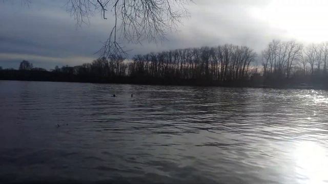 заплывы МОРЖЕЙ СТОЛИЦЫ 8.04.2018 вода +1 смотреть онлайн