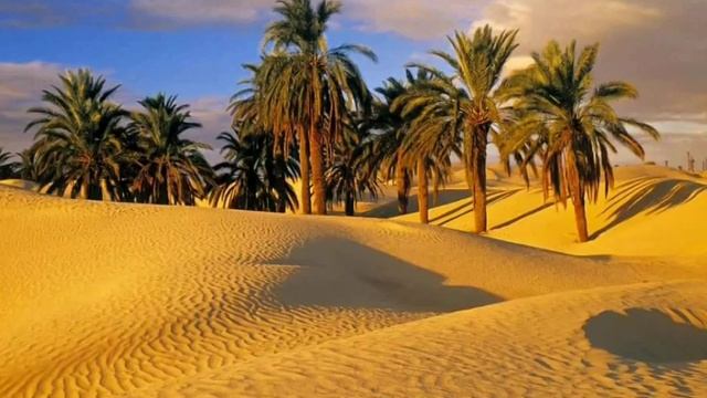 Учкудук три колодца-пустыня. смотреть онлайн