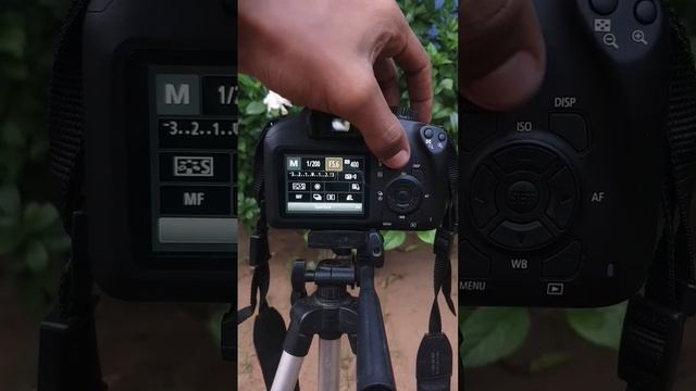 4000d camera #photography #viral #canon #india #trending #technology #srilanka смотреть онлайн